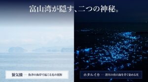 富山湾が隠す二つの神秘。魚津の海岸で起こる光の屈折による蜃気楼と、滑川の夜の海を青く染めるホタルイカ