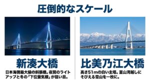 圧倒的なスケールを誇る新湊大橋のライトアップと比美乃江大橋の写真