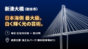 新湊大橋の夜景情報。日本海側最大級で、毎日日没30分後から夜10時まで白く輝く光の芸術を楽しめます。