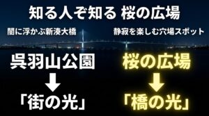 闇に浮かぶ新湊大橋の静寂を楽しめる穴場スポット「桜の広場」の案内
