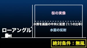 ローアングルで水際を画面の中央に配置し、無風の状態で桜の実像と水面の反射を1対1の比率で撮影するリフレクション構図の解説。