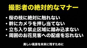 桜の枝に触れない、幹にカメラを押し当てないなど、撮影者が守るべき絶対的なマナーと、「富山の美しい春の夜を、最高の1枚に。」というメッセージ。