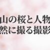 富山の桜と人物を自然に撮る撮影術