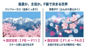 パンフォーカス（F8〜F11）と背景ボケ（F1.4〜F4.0）のF値設定の違いによる仕上がりの比較