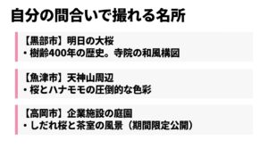 黒部市の明日の大桜、魚津市の天神山周辺、高岡市の企業施設庭園など、自分の間合いで撮れる桜の穴場名所を紹介したスライド画像