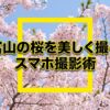 富山の桜を美しく撮るスマホ撮影術のタイトル画像