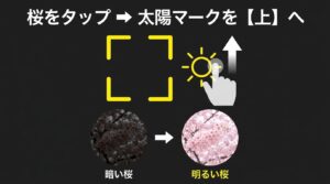 iPhoneカメラで桜をタップし、太陽マークを上にスライドさせて明るくする露出補正の手順