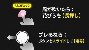 桜の花びらを長押ししてAE/AFロックをかける操作イメージ  