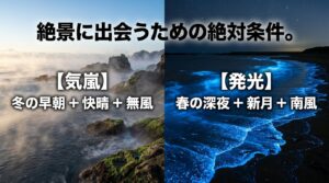 気嵐（冬の早朝・快晴・無風）とホタルイカの発光（春の深夜・新月・南風）の発生条件まとめ