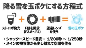 ストロボ発光、F値開放、望遠レンズを組み合わせて降る雪を玉ボケにする撮影の方程式