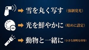 カメラのストロボ発光。雪を丸く写すための強制発光、光を鮮やかにするための暗め設定、動物と一緒に撮るための小さな照明持参のコツ