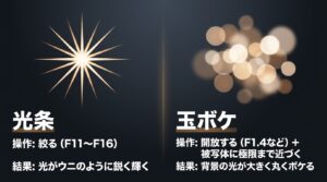 絞り込んで作る鋭い光条と、絞りを開放して近づいて作る玉ボケの表現