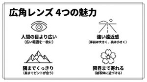人間の目より広い、強い遠近感、隅までくっきり、限界まで寄れるという広角レンズの4つの魅力を示した図