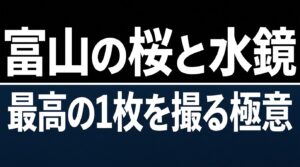 富山の桜と水鏡 最高の1枚を撮る極意