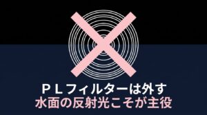 PLフィルターは外す、水面の反射光こそが主役
